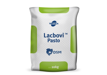 Lacbovi Pasto